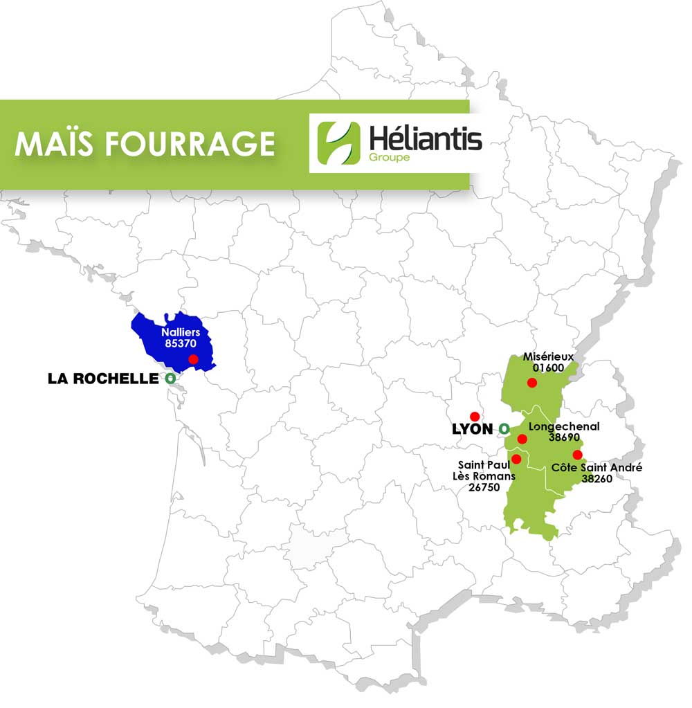 MAIS-FOURRAGE MAIS-FOURRAGE